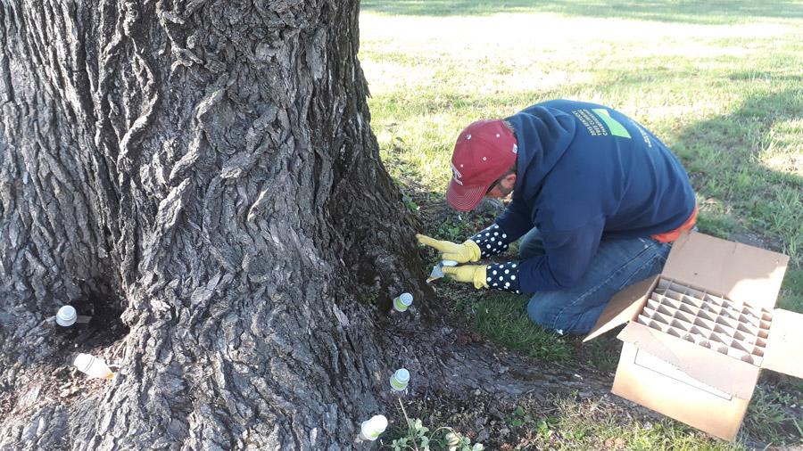 Plant Health Care Service