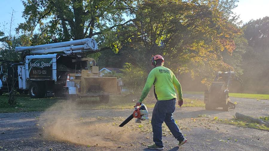 ArborPros - Tree Removals Service