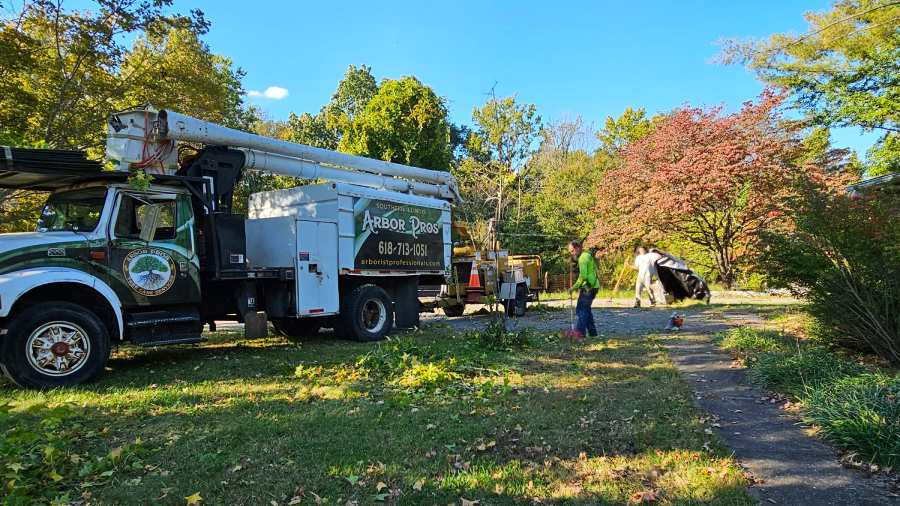 Tree Planting Service